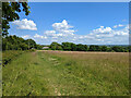 Footpath 321 Charlwood on Russ Hill