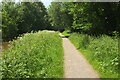 Towpath, Monmouthshire and Brecon Canal