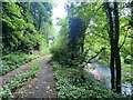 Woodland path alongside Rhymney River