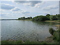 Rutland Water shore near Hambelton Old Hall