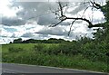 Countryside near Higher Pertwood, Wiltshire