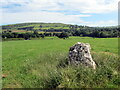 Maenhir Nant Cilgwyn / Nant Cilgwyn Standing Stone