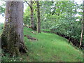 Llwybr ger Cwmcoygen / Path near Cwmcoygen