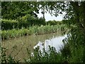 Ashby Canal