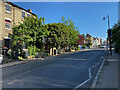 Pedestrian crossing, Gipsy Hill, Norwood