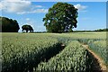 Farmland, Privett