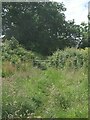 Public footpath, Cefn Cribwr