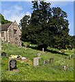 SO5210 : Churchyard yew, Penallt, Monmouthshire by Jaggery
