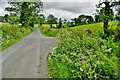 H3467 : Illanmean Road, Cornavarrow by Kenneth  Allen