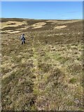 NR2941 : ATV track found on the descent from Beinn Mhor by thejackrustles