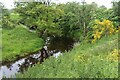 Cessnock Water from Friendlesshead Bridge