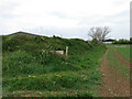 Stone Stile, Marshfield