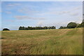 Field by Eccleshall Road, Mucklestone