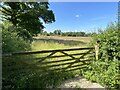 Gate into field