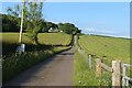 A tidy cut for silage at Littlehill