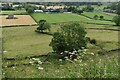 Farmland below the road east of Longnor