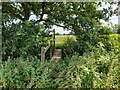 Footbridge at a corner of Sunnyside Wood