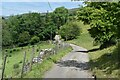 Road between Bank Top and Ludwell Farms