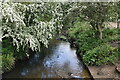 Beverley Brook