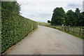 Path towards Tewin Mill House