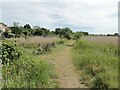 Railway path beside the Blythburgh Marshes