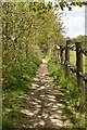 Footpath to Sandhurst