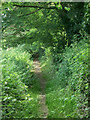 A short public footpath in Cefn Cribwr