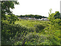 Sevington Lakes from Cheeseman?s Green Lane