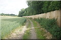 Path towards Tewin Mill House