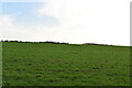 TL5243 : Farmland by N Chadwick