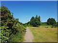 Path towards transmitter masts