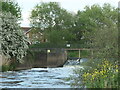 Houses on Oxbridge Way, Tamworth