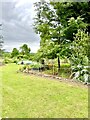 Allotment Garden