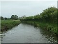 Joggers on the towpath at Dunstall