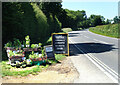 Roadside Plant Stall