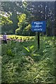 Please drive slowly, Welsh Newton Common