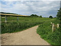 TQ1449 : National Cycle Network route 22 at Westcott, near Dorking by Malc McDonald