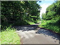 Heol fynediad ar dro / An access road on a bend