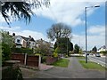 Mature front garden tree, Uttoxeter Road, Littleover, Derby