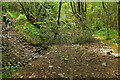 Byway / path junction near Pant-y-rhiw Outdoor Centre