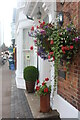 Eccleshall in bloom