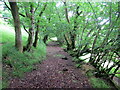 Llwybr i Gwm-Einon-fawr / Path to Cwm Einon-fawr