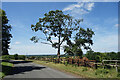 Road on Lus Hill