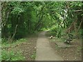 Public footpath at the northern edge of Kenfig Hill (2)