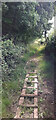 Footpath along southern edge of Brick Kiln Copse