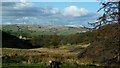 Brearley Brook Valley