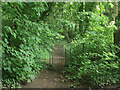 Kissing gate on public footpath at the northern edge of Kenfig Hill