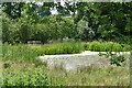 Pond at Crag House Farm