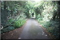 Path towards Woodhall Farm