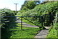 NO4202 : Gate along the Fife Coastal Path by Mat Fascione